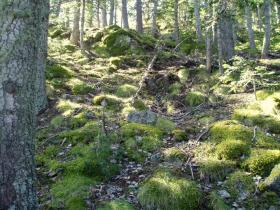 photo coins arrondis